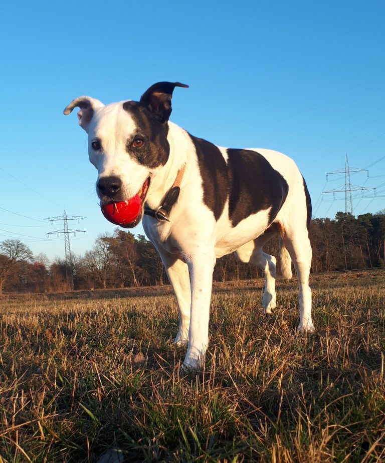 Ein Schmuckstück von Eve