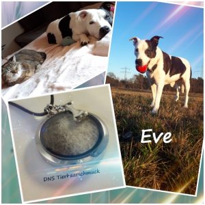 Ein Schmuckstück von Eve