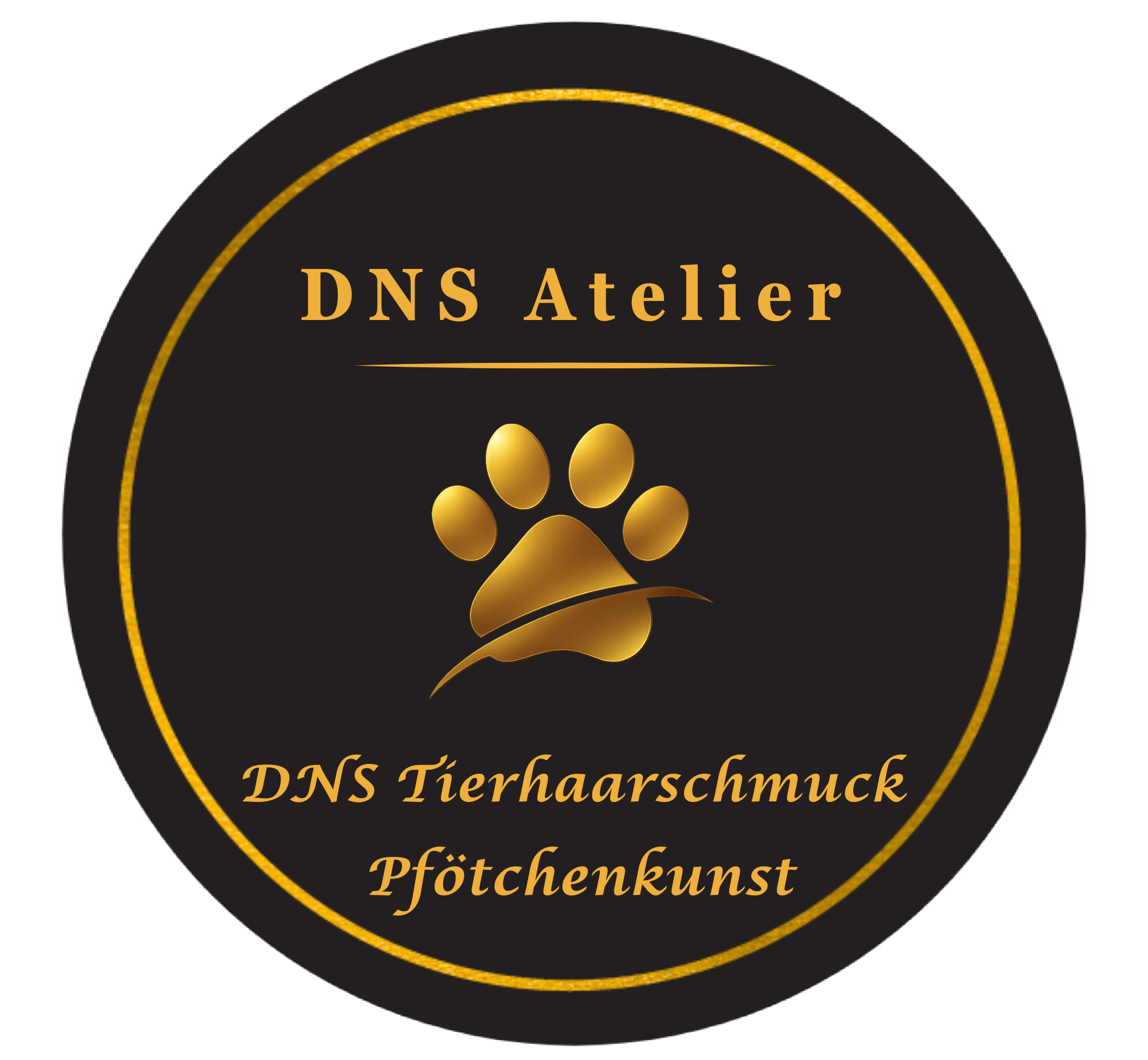 Logo DNS Atelier